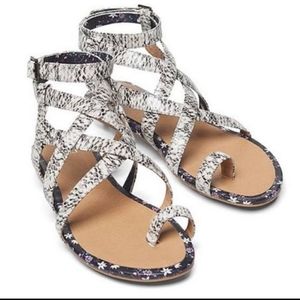 CAbi "Athena" Snakeskin Gladiator Sandal Size 6.5